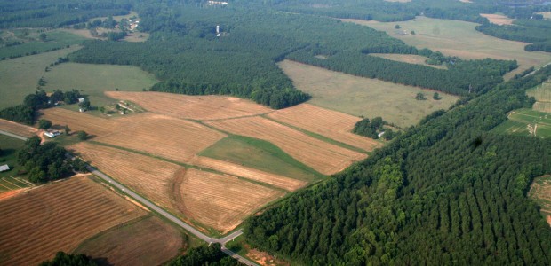 2010-2011, Warren County, NC.  Identified opportunities for building a local farming/food economy in a rural county.